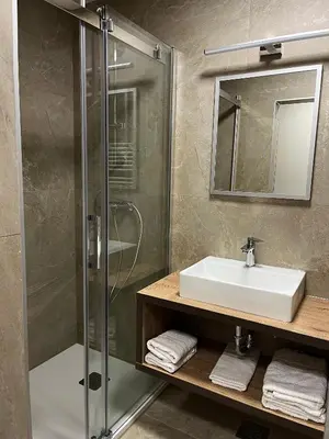 a bathroom with a sink and a shower at Hotel Roškar in Ptuj