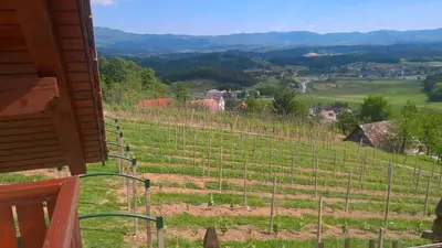a view of a vineyard from the porch of a house at Vineyard Cottage Lustek in Novo Mesto
