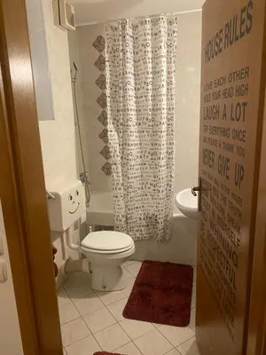 a bathroom with a toilet and a shower curtain at Apartment La Vie in Maribor