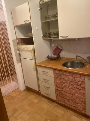 a kitchen with a sink and a refrigerator at Apartment La Vie in Maribor