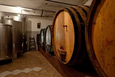 a row of wine barrels in a cellar at Vineyard Cottage Ucman in Otočec