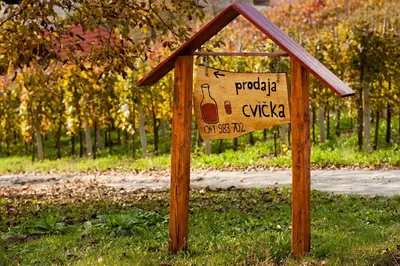 a wooden sign in the grass in a park at Vineyard Cottage Ucman in Otočec