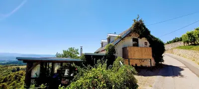 a house on a hill with a dirt road at Vineyard Cottage Vercek in Novo Mesto