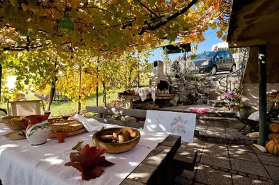 a table with food on it under a tree at Vineyard Cottage Vercek in Novo Mesto
