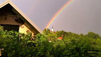a rainbow in the sky over a house and trees at Vineyard Cottage Vercek in Novo Mesto