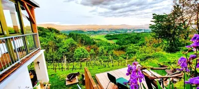a view of a vineyard from a balcony with purple flowers at Vineyard Cottage Vercek in Novo Mesto