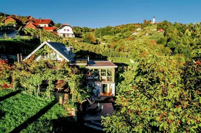 an aerial view of a house on a hill at Vineyard Cottage Vercek in Novo Mesto