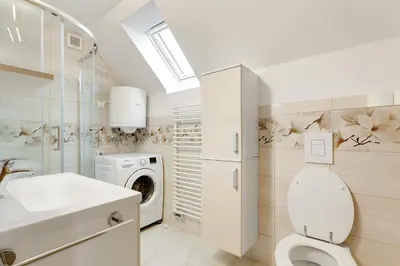 a bathroom with a toilet and a washing machine at Vineyard Cottage Tramte in Škocjan