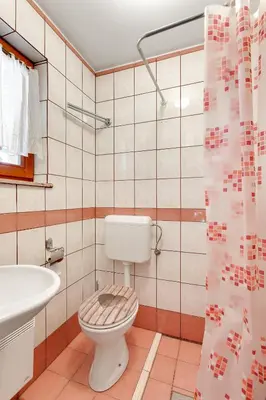a bathroom with a toilet and a sink and a shower curtain at Vineyard Cottage Tramte in Škocjan