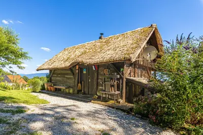 a house with a thatched roof and a porch at Vineyard Cottage Skatlar in Otočec