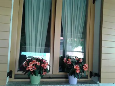 two vases of flowers on a window with curtains at Turistična kmetija Pri Požarju in Knežak