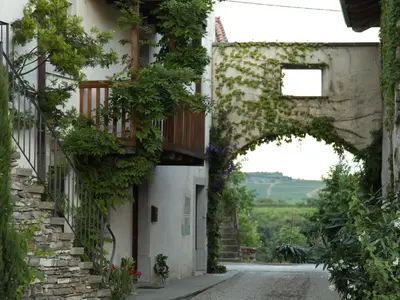 an alley with an archway in a building with ivy at Boutique Hotel Dvor in Dobrovo