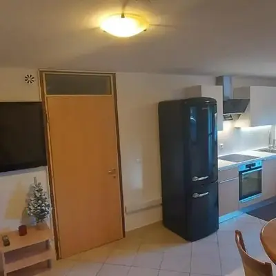 Apartments Lenardic
