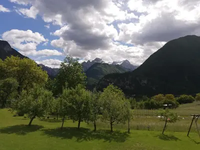 a group of trees in a field with mountains in the background at Apartments Mas in Dovje