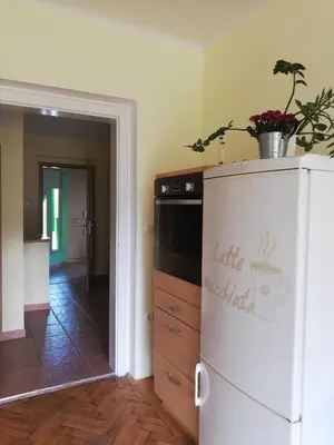 a kitchen with a white refrigerator with a plant on top of it at Apartments Mas in Dovje