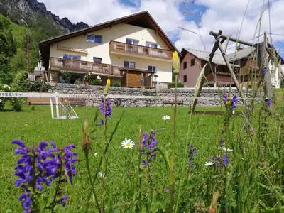 a house in the mountains with flowers in the foreground at Apartments Mas in Dovje