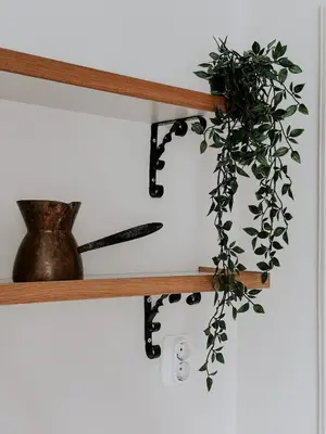 a wooden shelf with a plant on it at Vila Del Linz in Ljubljana