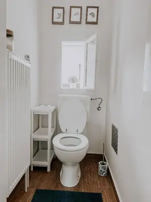 a white toilet in a bathroom with a window at Vila Del Linz in Ljubljana
