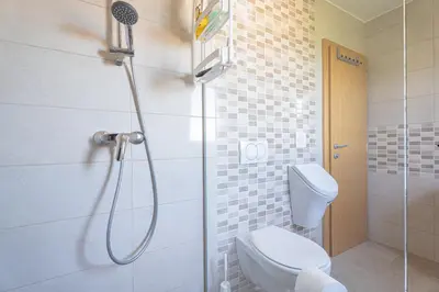 a bathroom with a shower with a toilet and a shower head at Vineyard Cottage Vrbek in Roginska Gorca