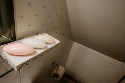 a bathroom with two pink toilets on a shelf at Vineyard Cottage Zdolsek in Šmarje pri Jelšah