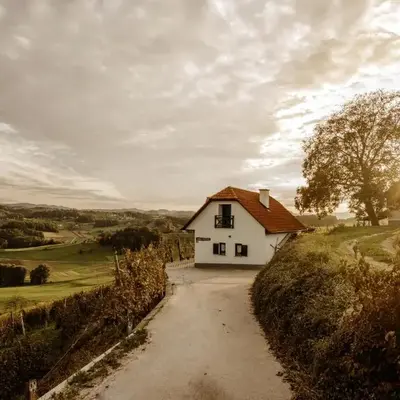 Vineyard Cottage Zdolsek