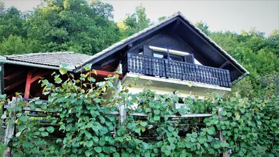 a house with a balcony and a bunch of vines at Vineyard Cottage Zajc in Semič