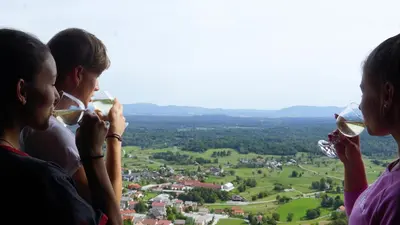 three people drinking wine from wine glasses at Vineyard Cottage Zajc in Semič
