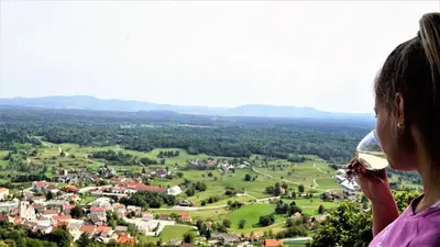 a woman drinking a glass of wine overlooking a town at Vineyard Cottage Zajc in Semič