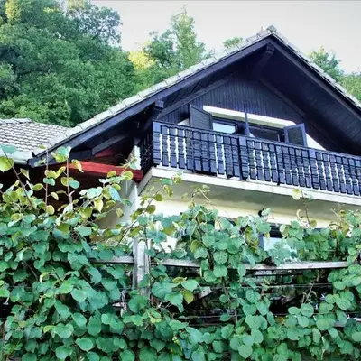 Vineyard Cottage Zajc
