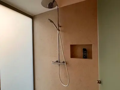 a shower with a shower head in a bathroom at Villa Boris in Starše