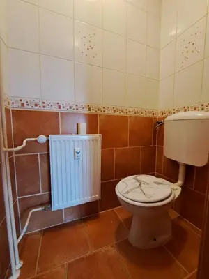 a bathroom with a toilet and a sink at Charming Celje City Center Apartment in Celje