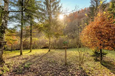 a sign in the middle of a field with trees at Cabin by the river Polhov Gradec in Polhov Gradec