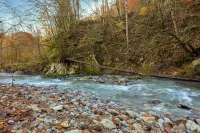 a river with rocks on the side of a hill at Cabin by the river Polhov Gradec in Polhov Gradec