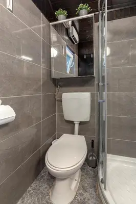 a bathroom with a toilet and a shower at Oddih ob Krki in Škocjan