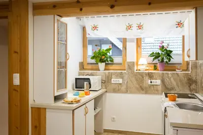 a small kitchen with a sink and a window at Apartment Ivanka Cvetek in Bohinj