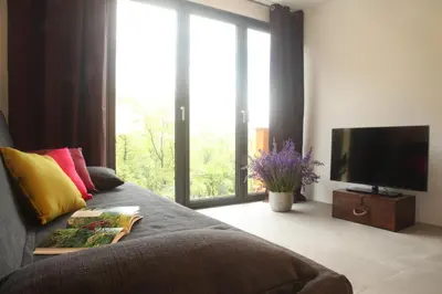 a living room with a couch and a television at Apartments Lom in Most na Soči