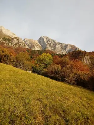 a grassy field with mountains in the background at Apartment Rakušček in Kobarid