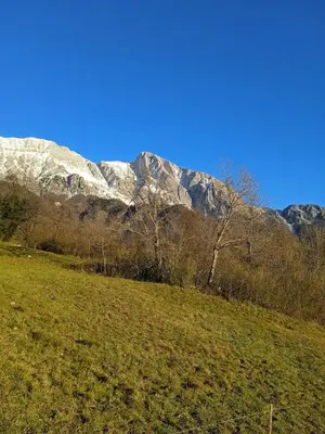 a field with a snow covered mountain in the background at Apartment Rakušček in Kobarid