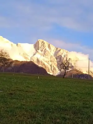 a mountain in front of a green field with a tree at Apartment Rakušček in Kobarid