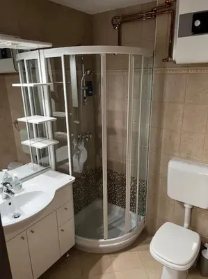 a bathroom with a shower and a toilet and a sink at Golden hour apartment in Kranjska Gora