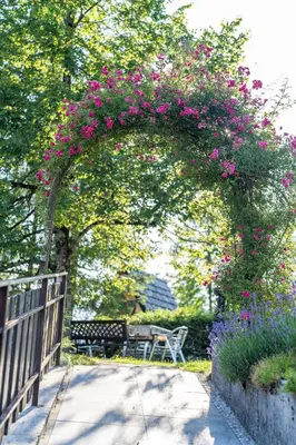 an arch with pink flowers on a fence with a bench at Holiday Home Pri Srni in Bohinj