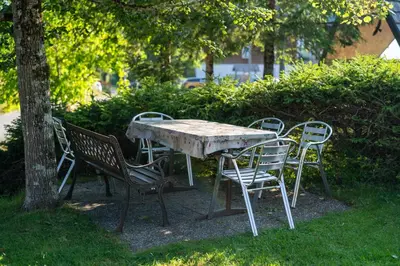 a table and chairs sitting around a tree at Holiday Home Pri Srni in Bohinj