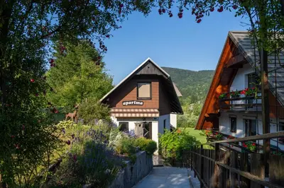 a house with a dog standing in front of it at Holiday Home Pri Srni in Bohinj