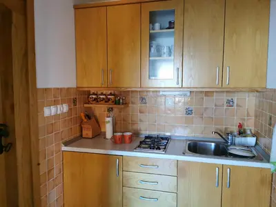 a kitchen with wooden cabinets and a sink at Hiška sončni hrib. in Novo Mesto