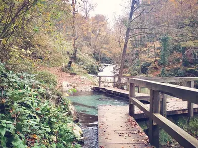 a wooden bridge over a river with at Hiška sončni hrib. in Novo Mesto