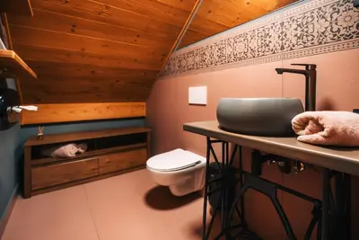 a bathroom with a toilet and a sink at Posest Kunigunda in Šmartno v Rožni Dolini