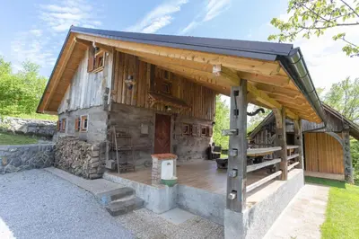 a log cabin with a porch and a roof at MARRYS APARTMENTS in Polica