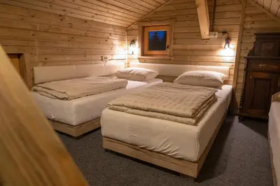a bedroom with three beds in a wooden cabin at MARRYS APARTMENTS in Polica