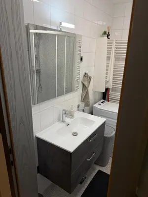 a bathroom with a sink and a mirror and a toilet at Apartma Galjevica in Ljubljana