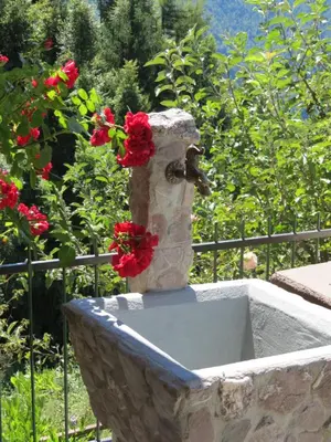 a stone bird bath with red flowers on it at Apartment Bon in Kobarid